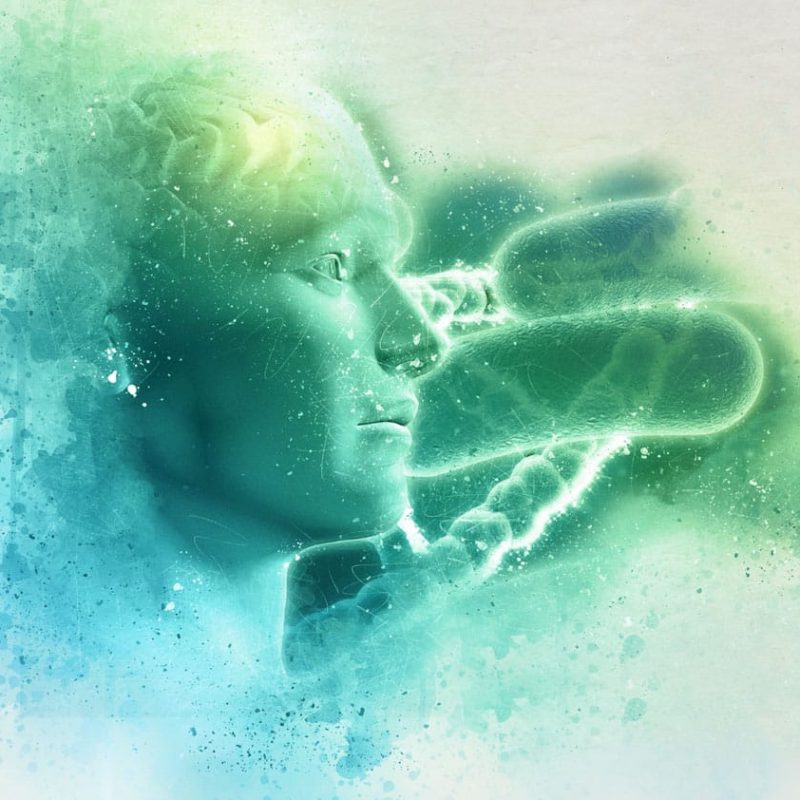 Ilustrácia ľudskej mysle